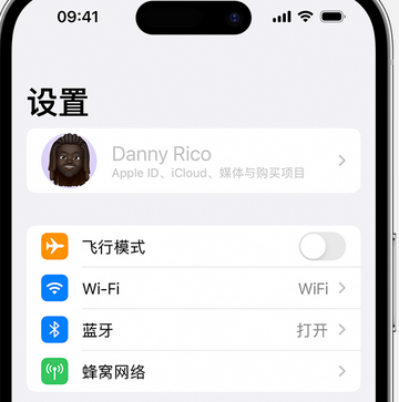 牙叉镇appleID维修服务iPhone设置中Apple ID显示为灰色无法使用 