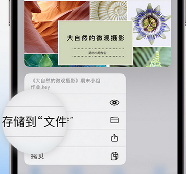 牙叉镇apple维修中心分享iPhone文件应用中存储和找到下载文件