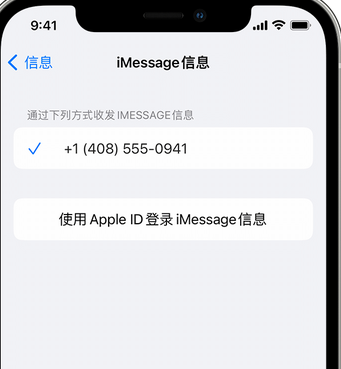 牙叉镇apple维修iPhone上无法正常发送iMessage信息 