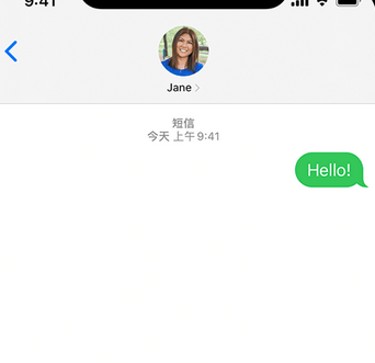 牙叉镇apple维修iPhone上无法正常发送iMessage信息