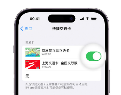 牙叉镇apple维修点分享iPhone上更换Apple Pay快捷交通卡手绘卡面 