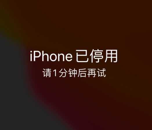 牙叉镇苹果手机维修分享:iPhone 显示“不可用”或“已停用”怎么办？还能保留数据吗？ 