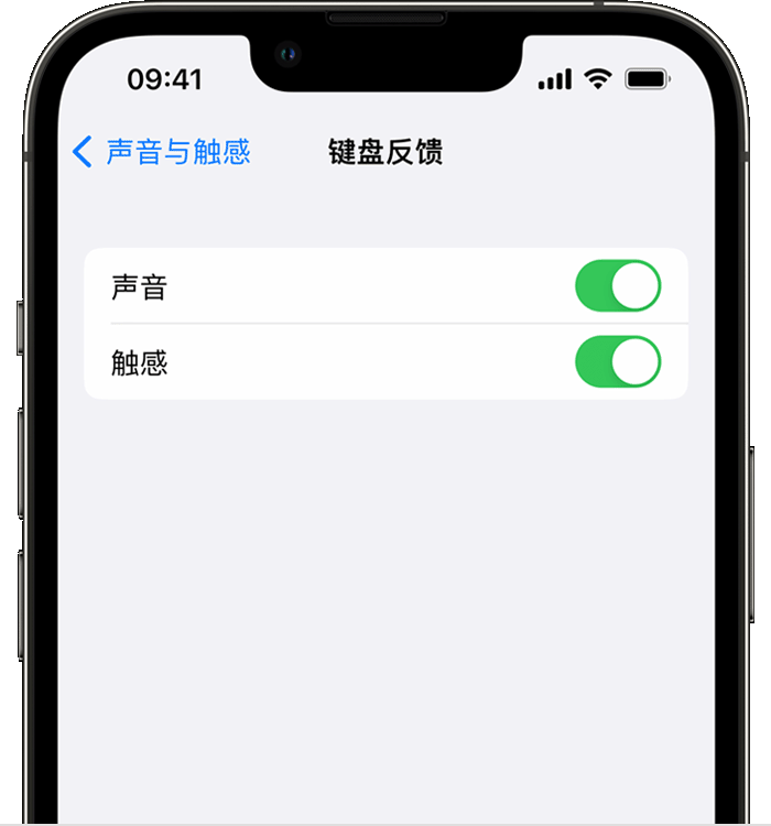 牙叉镇苹果14维修店分享如何在 iPhone 14 机型中使用触感键盘 