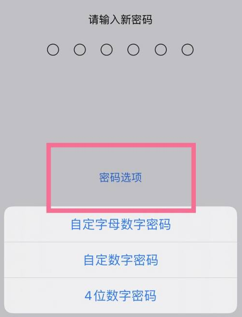 牙叉镇苹果14维修分享iPhone 14plus设置密码的方法 