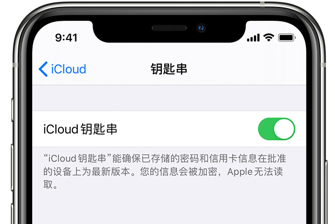 牙叉镇苹果手机维修分享在 iPhone 上开启 iCloud 钥匙串之后会储存哪些信息 