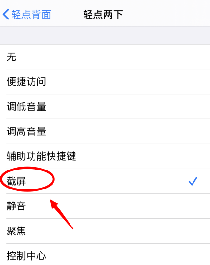 牙叉镇苹果手机维修分享iPhone12如何启用双击截屏 