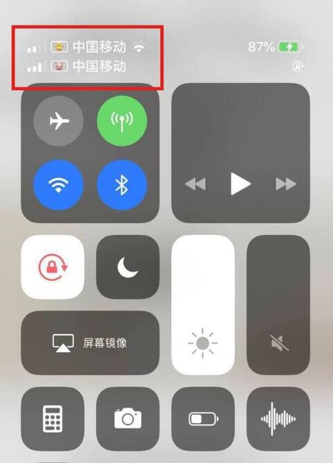 牙叉镇苹果手机维修分享为 iPhone 12 双卡设置标签 